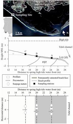 Does Nitrate Enrichment Accelerate Organic Matter Turnover in Subterranean Estuaries?